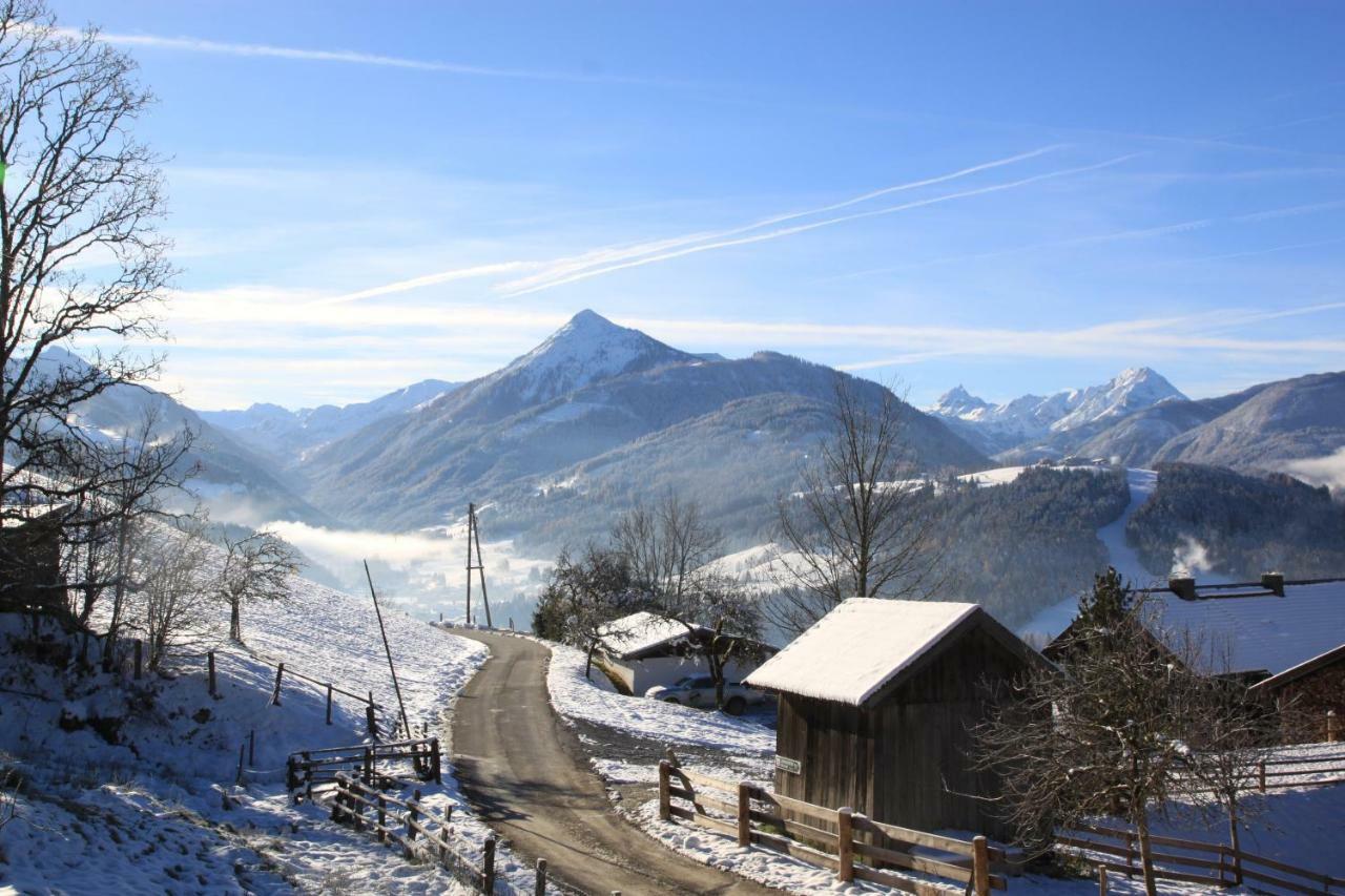 Apartment Poetzelberghof Altenmarkt im Pongau Exteriér fotografie