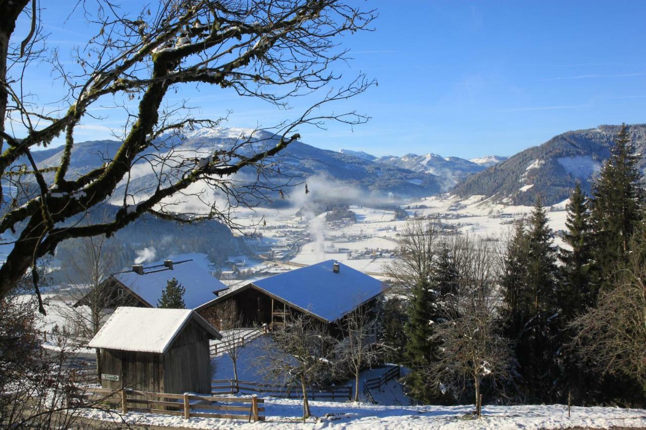 Apartment Poetzelberghof Altenmarkt im Pongau Exteriér fotografie